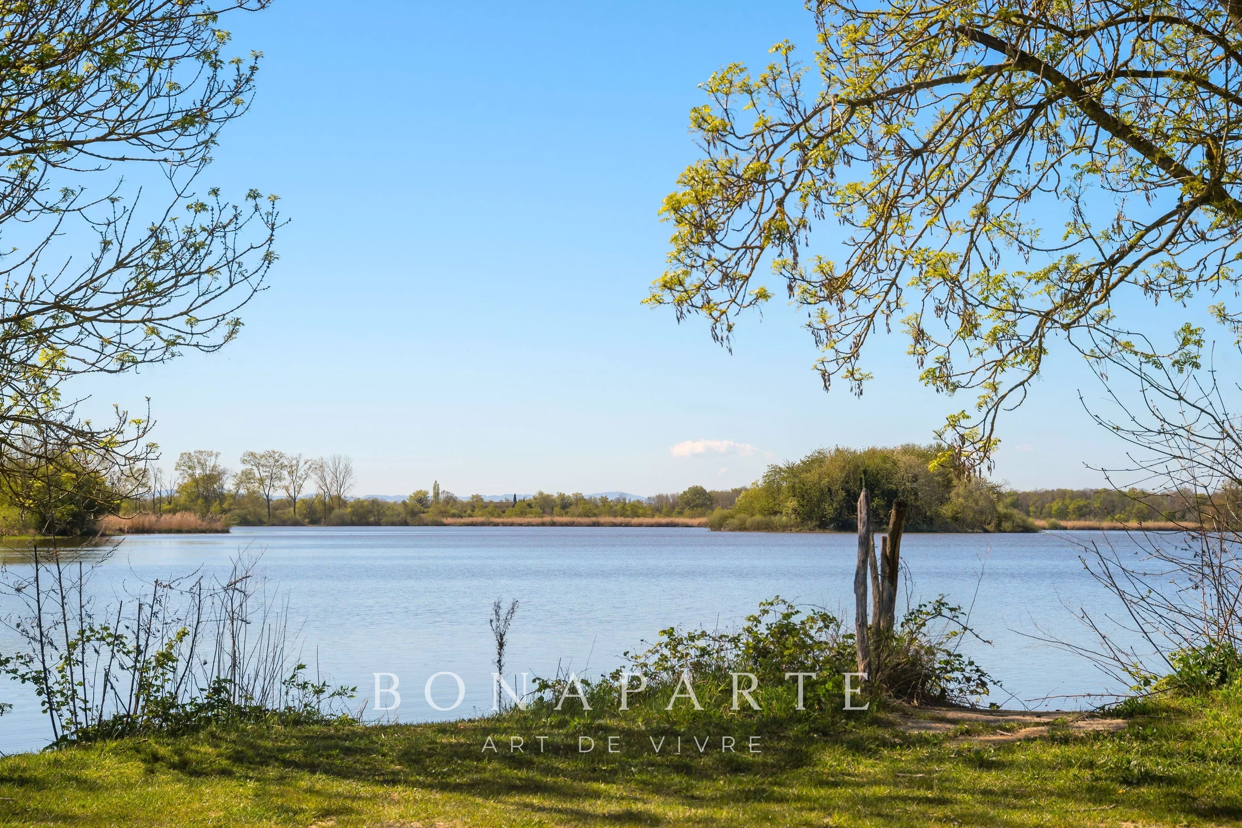 EXCEPTIONAL PROPERTY IN THE DOMBES- 118 ha OF PRAIRIES, WOODS AND POND